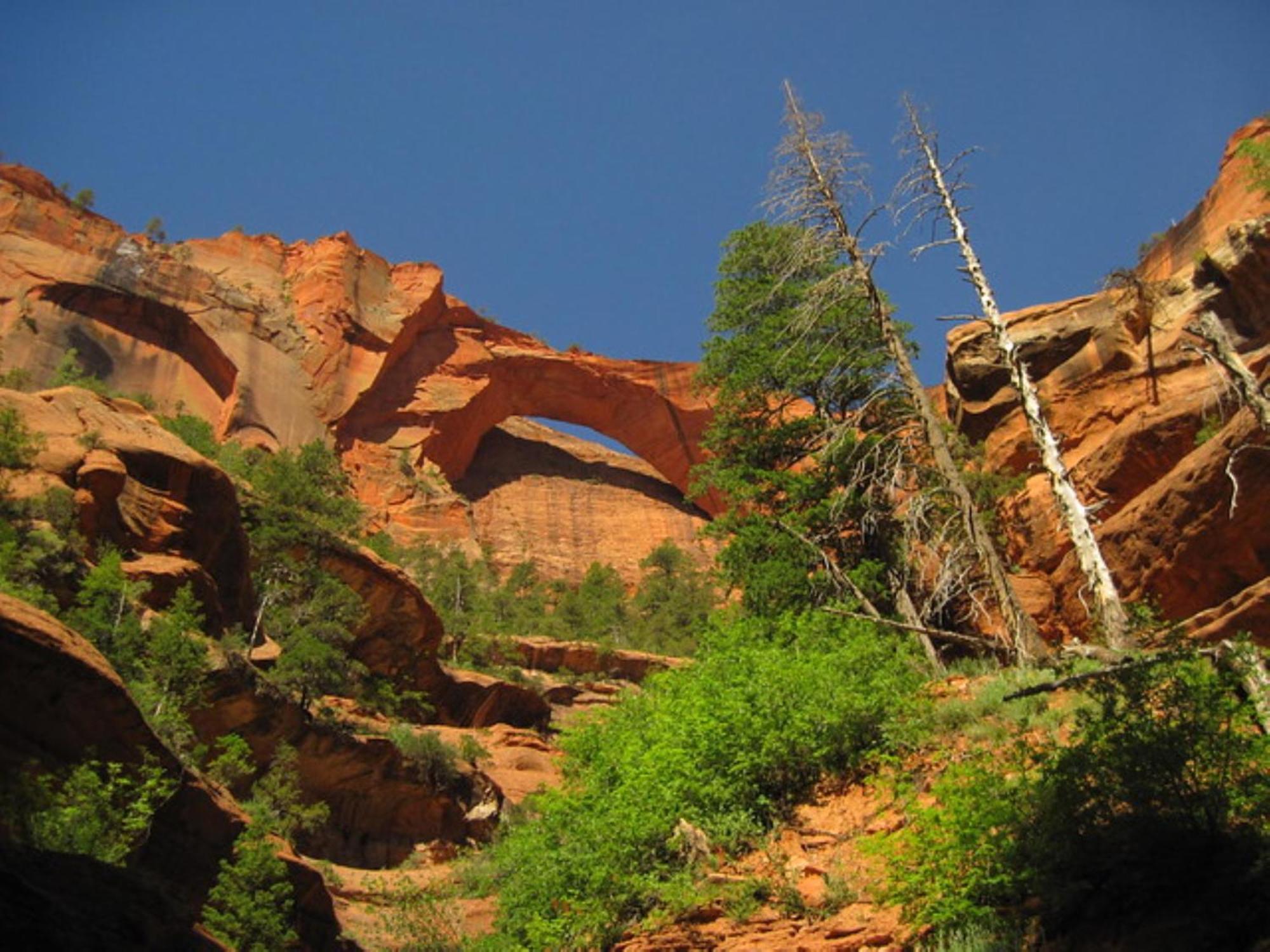 Holiday Inn La Verkin - Zion Park By Ihg Bagian luar foto